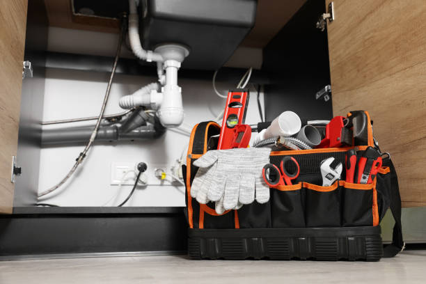 Best Best Plumbers Near Me  in Grandwood Park, IL