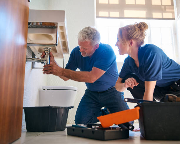 Best Pipe Repair Near Me  in Grandwood Park, IL
